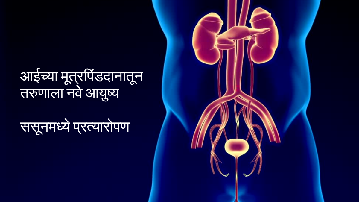 Kidney Transplant at Sassoon Hospital