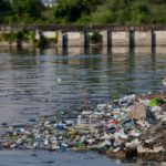 Water Pollution