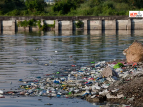Water Pollution
